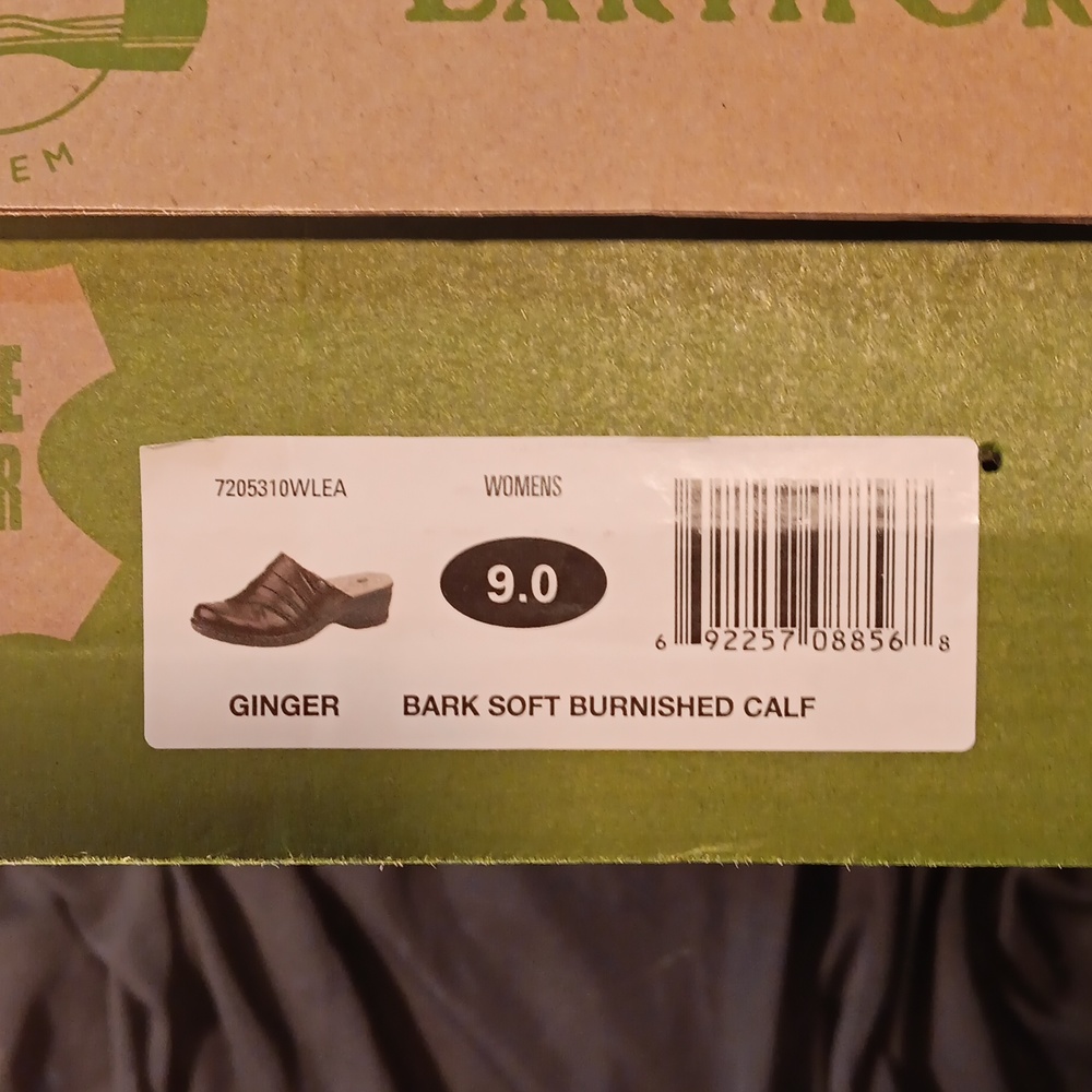 Shoe's